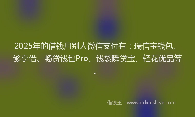 2025年的借钱用别人微信支付有：瑞信宝钱包、够享借、畅贷钱包Pro、钱袋瞬贷宝、轻花优品等。