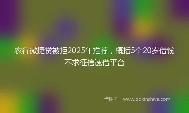 农行微捷贷被拒2025年推荐，概括5个20岁借钱不求征信速借平台