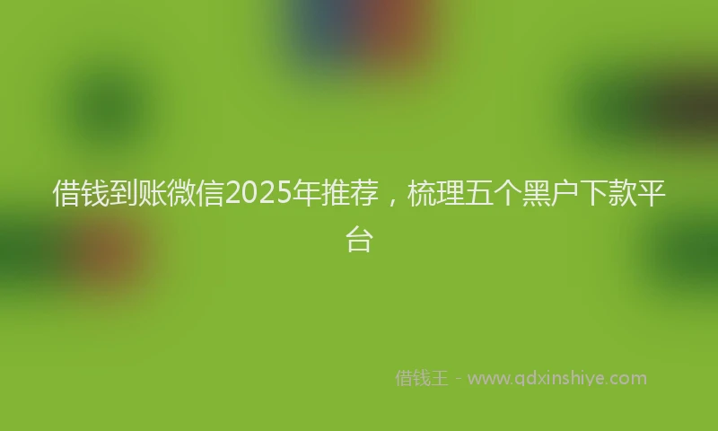 借钱到账微信2025年推荐，梳理五个黑户下款平台