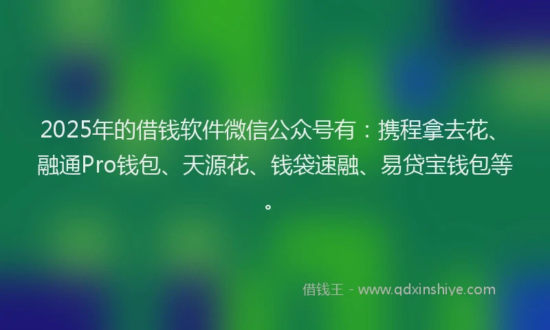 2025年的借钱软件微信公众号有：携程拿去花、融通Pro钱包、天源花、钱袋速融、易贷宝钱包等。