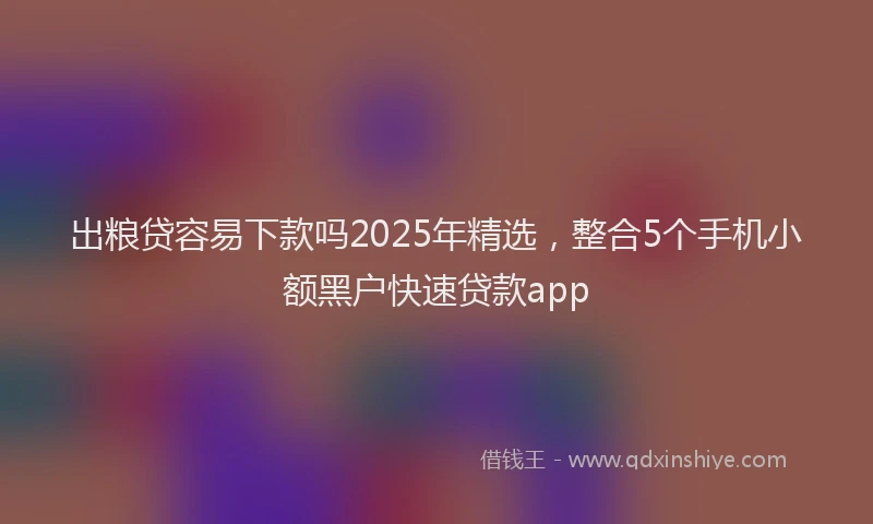 出粮贷容易下款吗2025年精选，整合5个手机小额黑户快速贷款app
