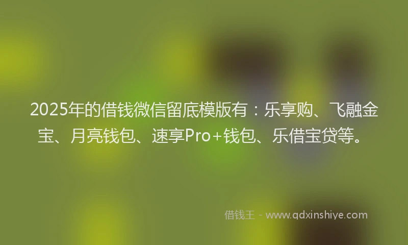 2025年的借钱微信留底模版有：乐享购、飞融金宝、月亮钱包、速享Pro+钱包、乐借宝贷等。