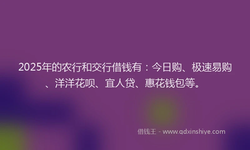 2025年的农行和交行借钱有：今日购、极速易购、洋洋花呗、宜人贷、惠花钱包等。