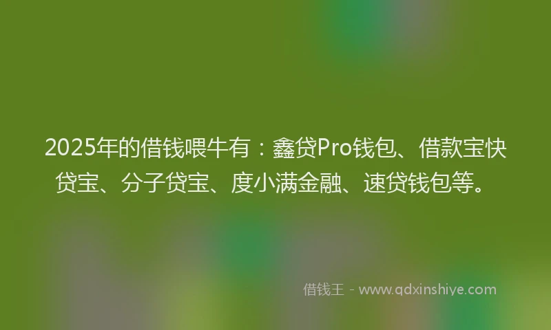 2025年的借钱喂牛有：鑫贷Pro钱包、借款宝快贷宝、分子贷宝、度小满金融、速贷钱包等。