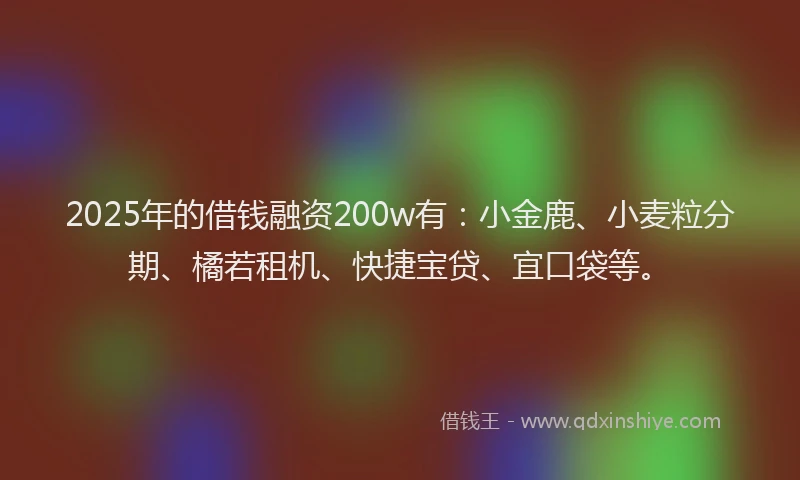 2025年的借钱融资200w有：小金鹿、小麦粒分期、橘若租机、快捷宝贷、宜口袋等。