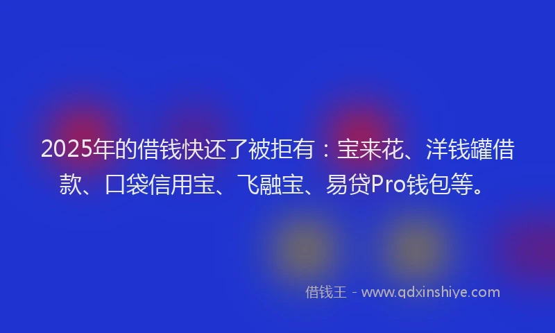 2025年的借钱快还了被拒有：宝来花、洋钱罐借款、口袋信用宝、飞融宝、易贷Pro钱包等。