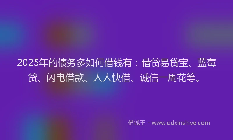 2025年的债务多如何借钱有：借贷易贷宝、蓝莓贷、闪电借款、人人快借、诚信一周花等。