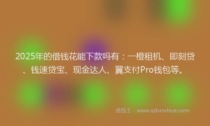 2025年的借钱花能下款吗有：一橙租机、即刻贷、钱速贷宝、现金达人、翼支付Pro钱包等。