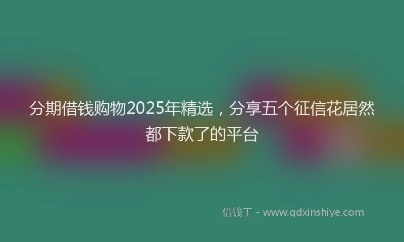 分期借钱购物2025年精选，分享五个征信花居然都下款了的平台