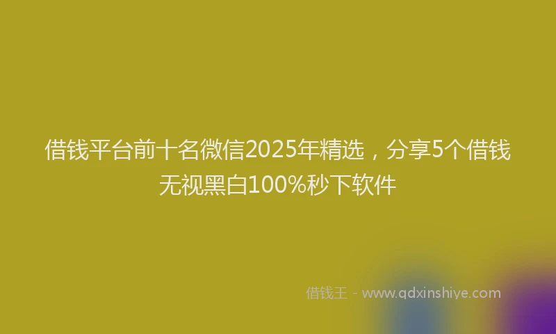 借钱平台前十名微信2025年精选，分享5个借钱无视黑白100%秒下软件