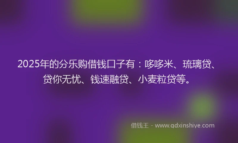 2025年的分乐购借钱口子有：哆哆米、琉璃贷、贷你无忧、钱速融贷、小麦粒贷等。