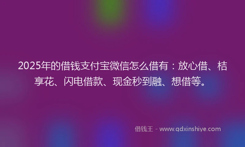 2025年的借钱支付宝微信怎么借有：放心借、桔享花、闪电借款、现金秒到融、想借等。