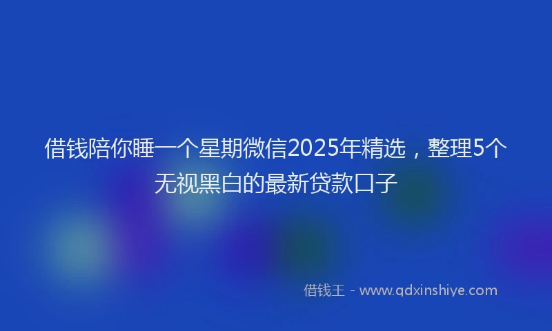 借钱陪你睡一个星期微信2025年精选，整理5个无视黑白的最新贷款口子