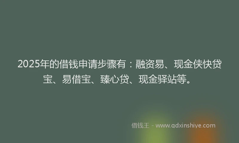 2025年的借钱申请步骤有：融资易、现金侠快贷宝、易借宝、臻心贷、现金驿站等。