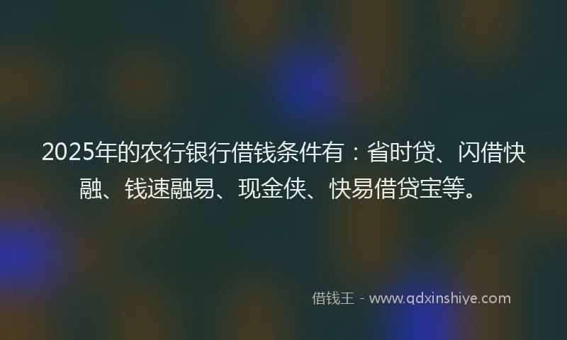 2025年的农行银行借钱条件有：省时贷、闪借快融、钱速融易、现金侠、快易借贷宝等。