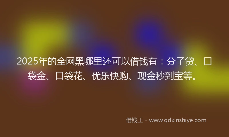 2025年的全网黑哪里还可以借钱有：分子贷、口袋金、口袋花、优乐快购、现金秒到宝等。