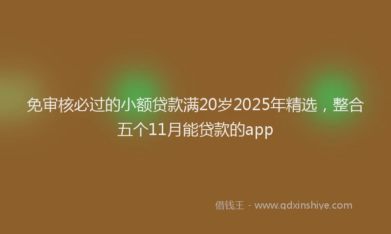 免审核必过的小额贷款满20岁2025年精选，整合五个11月能贷款的app