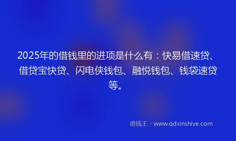 2025年的借钱里的进项是什么有：快易借速贷、借贷宝快贷、闪电侠钱包、融悦钱包、钱袋速贷等。