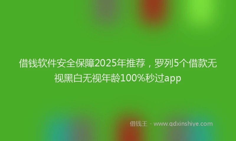 借钱软件安全保障2025年推荐，罗列5个借款无视黑白无视年龄100%秒过app