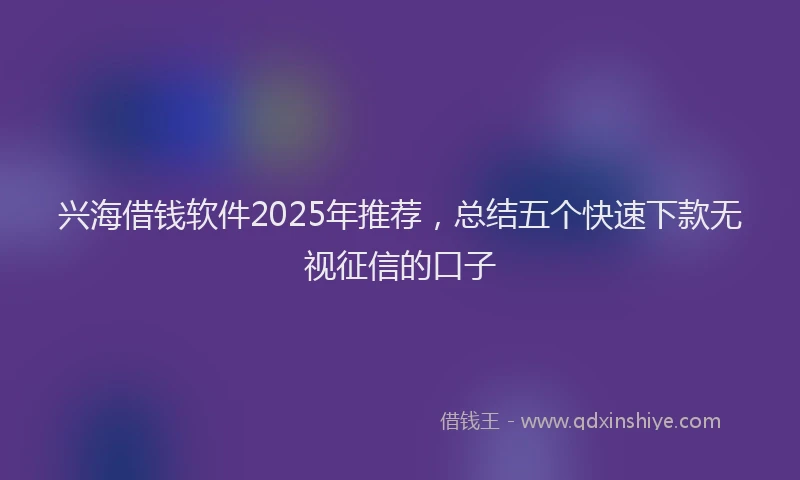 兴海借钱软件2025年推荐，总结五个快速下款无视征信的口子