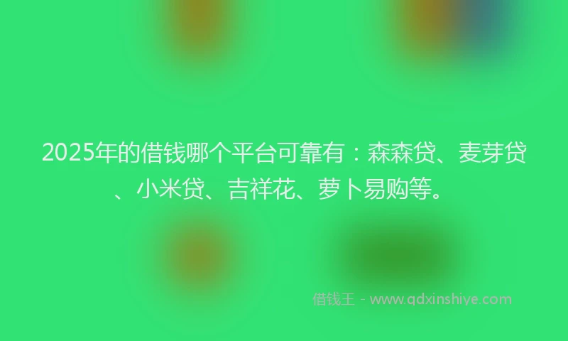 2025年的借钱哪个平台可靠有：森森贷、麦芽贷、小米贷、吉祥花、萝卜易购等。