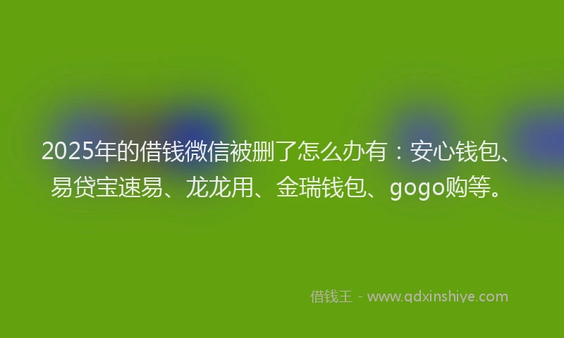 2025年的借钱微信被删了怎么办有：安心钱包、易贷宝速易、龙龙用、金瑞钱包、gogo购等。