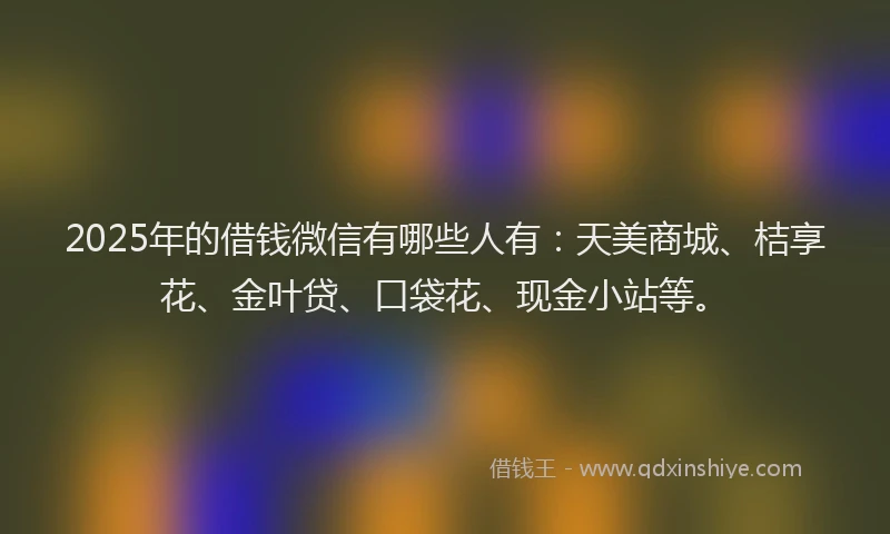 2025年的借钱微信有哪些人有：天美商城、桔享花、金叶贷、口袋花、现金小站等。