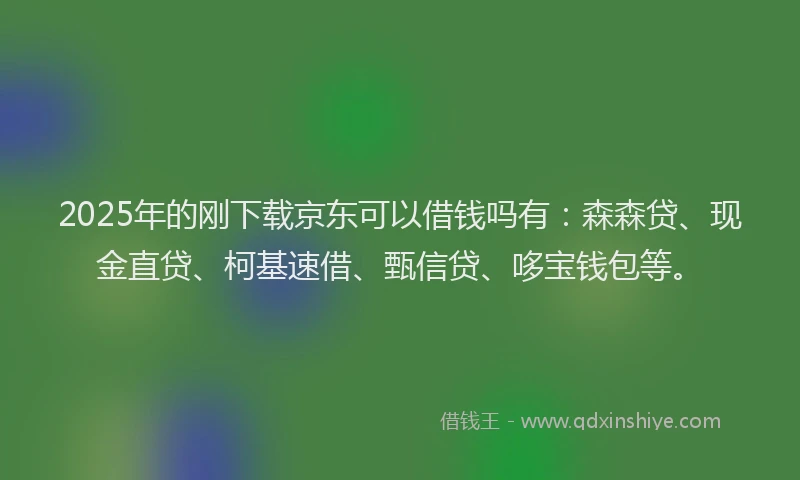 2025年的刚下载京东可以借钱吗有：森森贷、现金直贷、柯基速借、甄信贷、哆宝钱包等。