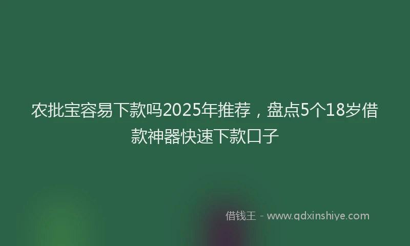 农批宝容易下款吗2025年推荐，盘点5个18岁借款神器快速下款口子