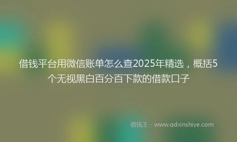 借钱平台用微信账单怎么查2025年精选，概括5个无视黑白百分百下款的借款口子