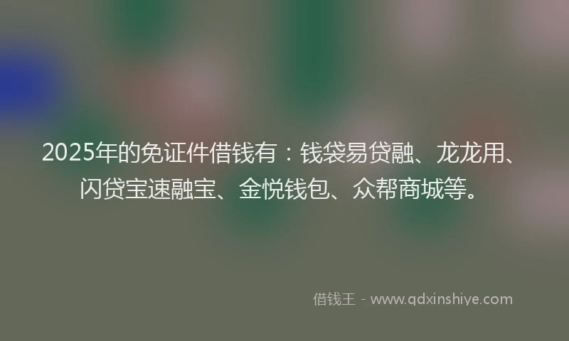 2025年的免证件借钱有：钱袋易贷融、龙龙用、闪贷宝速融宝、金悦钱包、众帮商城等。