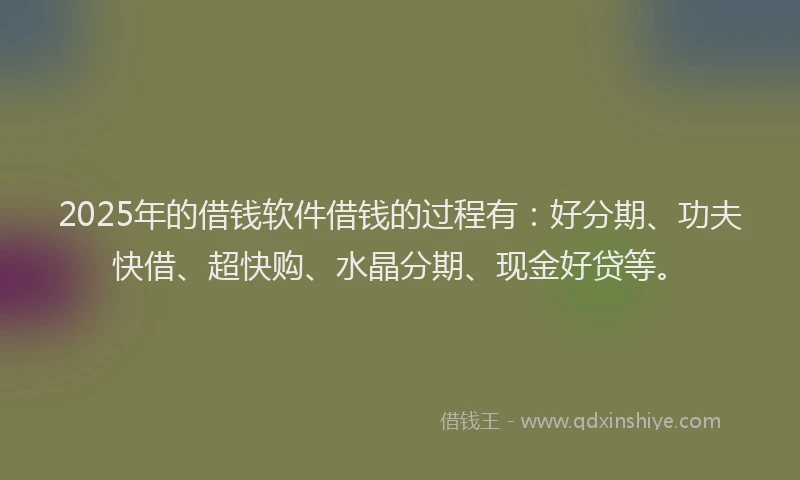 2025年的借钱软件借钱的过程有：好分期、功夫快借、超快购、水晶分期、现金好贷等。