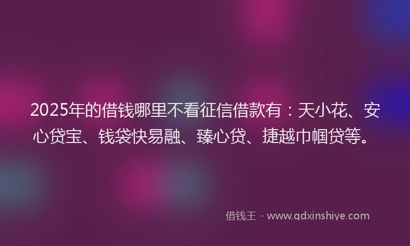 2025年的借钱哪里不看征信借款有：天小花、安心贷宝、钱袋快易融、臻心贷、捷越巾帼贷等。