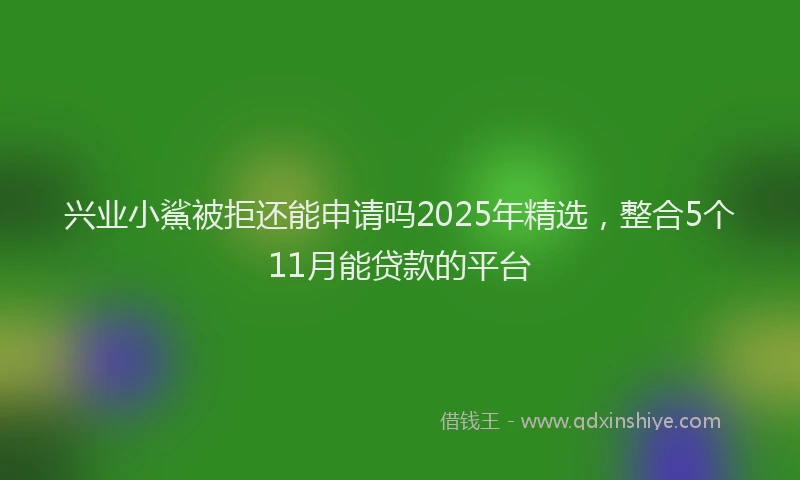 兴业小鯊被拒还能申请吗2025年精选，整合5个11月能贷款的平台