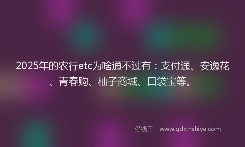2025年的农行etc为啥通不过有：支付通、安逸花、青春购、柚子商城、口袋宝等。