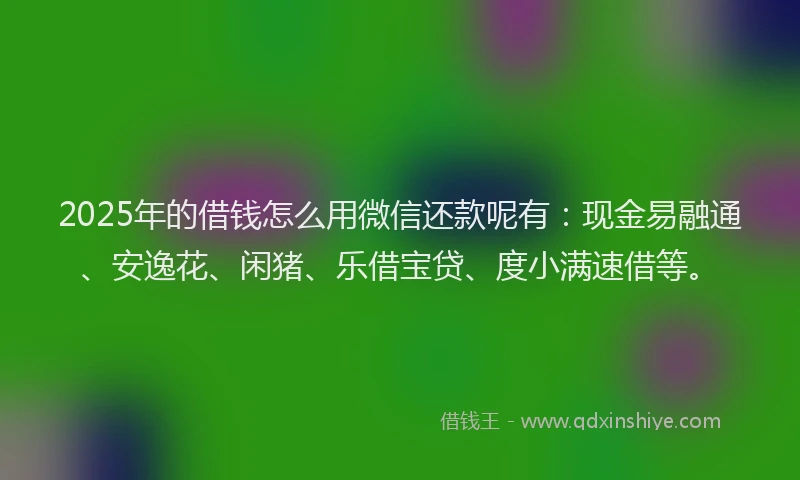 2025年的借钱怎么用微信还款呢有：现金易融通、安逸花、闲猪、乐借宝贷、度小满速借等。