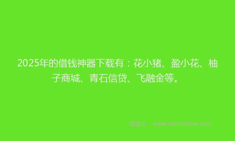 2025年的借钱神器下载有：花小猪、盈小花、柚子商城、青石信贷、飞融金等。