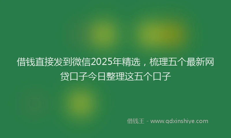 借钱直接发到微信2025年精选，梳理五个最新网贷口子今日整理这五个口子