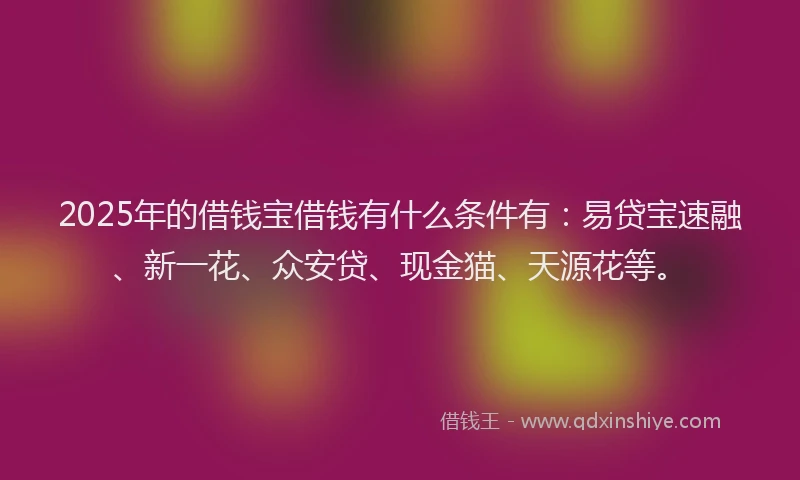 2025年的借钱宝借钱有什么条件有：易贷宝速融、新一花、众安贷、现金猫、天源花等。
