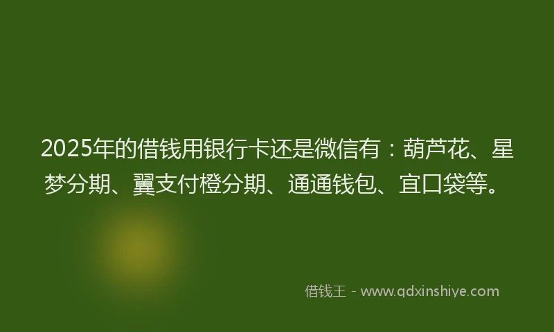 2025年的借钱用银行卡还是微信有：葫芦花、星梦分期、翼支付橙分期、通通钱包、宜口袋等。