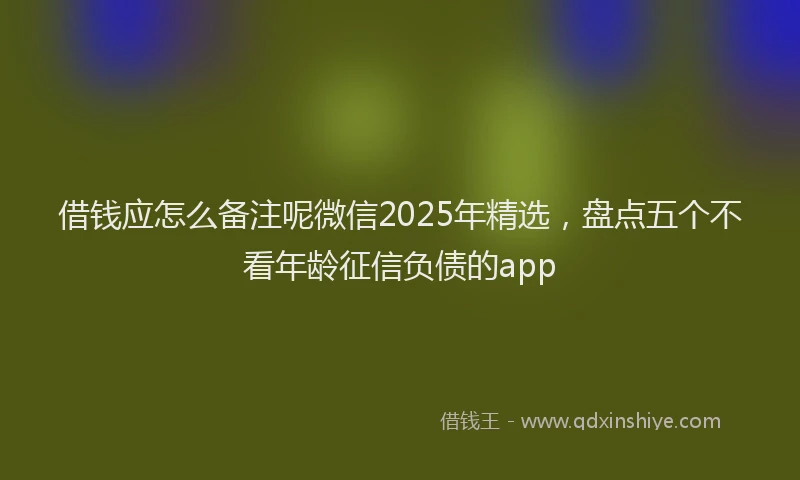 借钱应怎么备注呢微信2025年精选，盘点五个不看年龄征信负债的app
