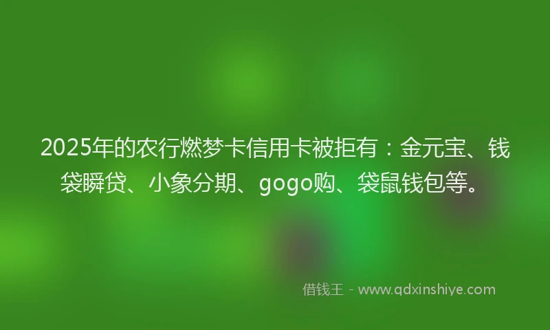 2025年的农行燃梦卡信用卡被拒有：金元宝、钱袋瞬贷、小象分期、gogo购、袋鼠钱包等。