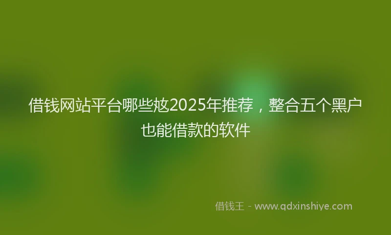 借钱网站平台哪些奿2025年推荐，整合五个黑户也能借款的软件