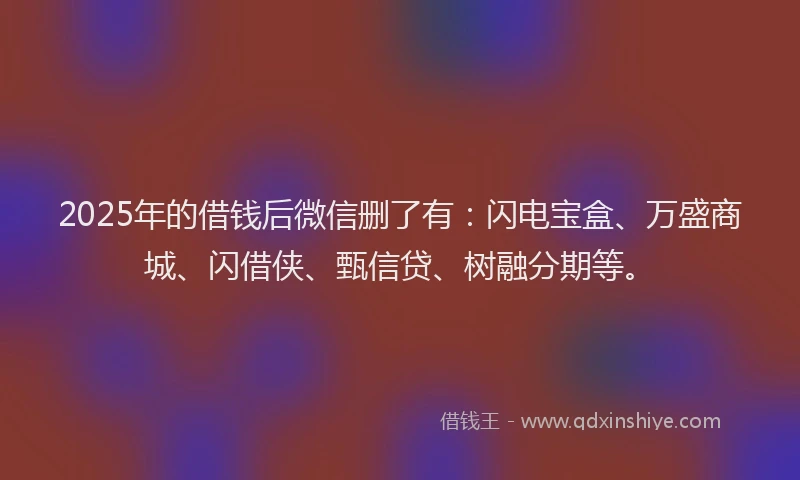 2025年的借钱后微信删了有：闪电宝盒、万盛商城、闪借侠、甄信贷、树融分期等。