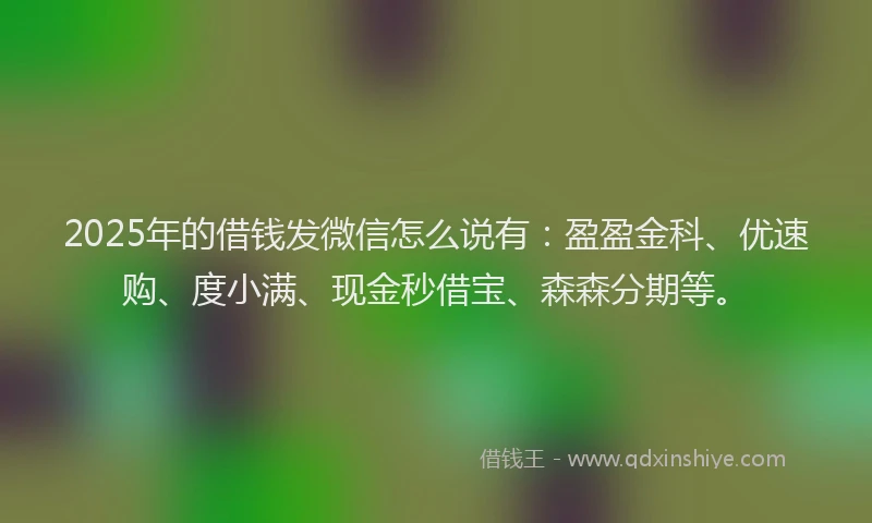 2025年的借钱发微信怎么说有：盈盈金科、优速购、度小满、现金秒借宝、森森分期等。