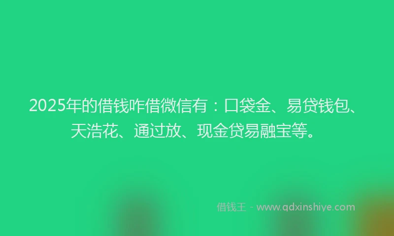 2025年的借钱咋借微信有：口袋金、易贷钱包、天浩花、通过放、现金贷易融宝等。