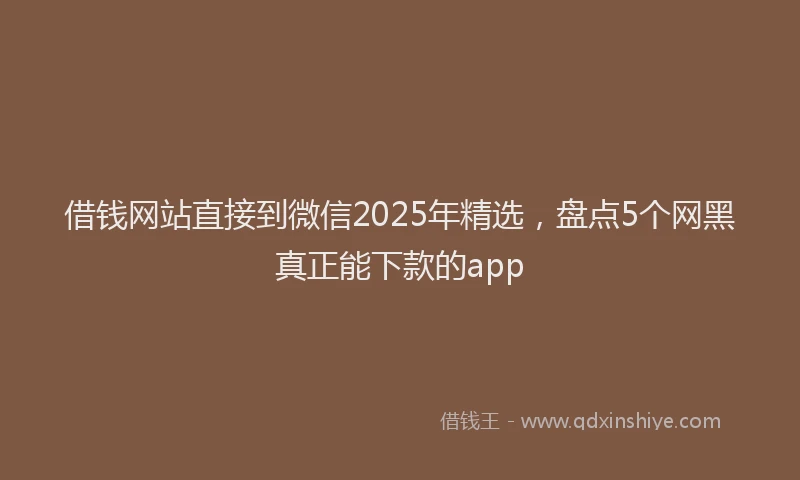 借钱网站直接到微信2025年精选，盘点5个网黑真正能下款的app