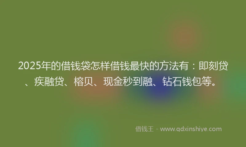 2025年的借钱袋怎样借钱最快的方法有：即刻贷、疾融贷、榕贝、现金秒到融、钻石钱包等。