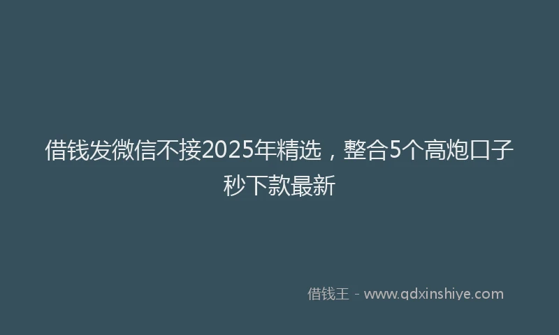 借钱发微信不接2025年精选，整合5个高炮口子秒下款最新