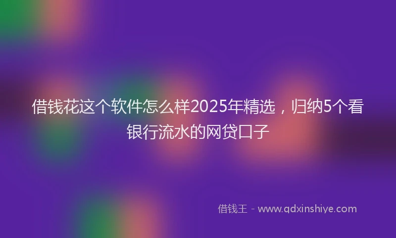 借钱花这个软件怎么样2025年精选，归纳5个看银行流水的网贷口子